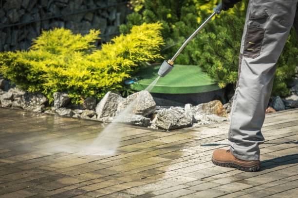 Best Solar Panel Cleaning  in Orange Beach, AL
